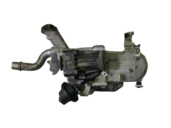 Wysoka jakość CITROEN C3 1.6 e-HDICHŁODNICZKA SPALIN EGR 5056390800