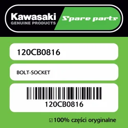 Oferta Śruba imbusowa Kawasaki