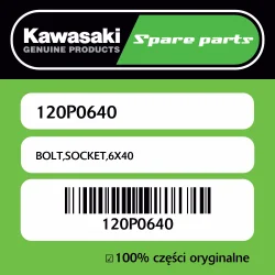 Nowość Śruba imbusowa 6X40 Kawasaki
