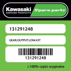 Wybór klientów GEAR,OUTPUT,LOW,43T