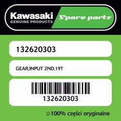 GEAR,INPUT 2ND,19T Wybór klientów
