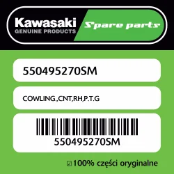 Popularny Owiewka centralna prawa P.T.G Kawasaki