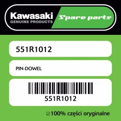 PIN-DOWEL Dostępne od ręki