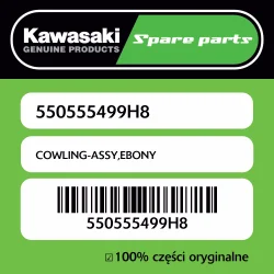 Owiewka EBONY Kawasaki Rabat