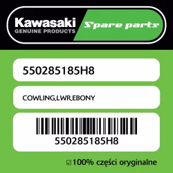 Ekspresowa dostawa Owiewka dolna EBONY Kawasaki